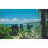 Beach at Nauru with coral pillars