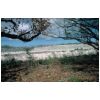Nauru Landscape after phosphate mining