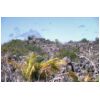 Nauru Landscape after phosphate mining