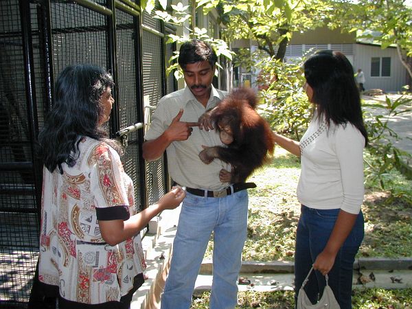 kl_zoo1988.jpg<BR>