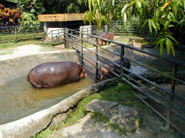kl_zoo1999.jpg<BR>
