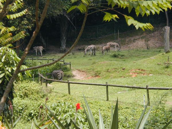 kl_zoo2026.jpg<BR>