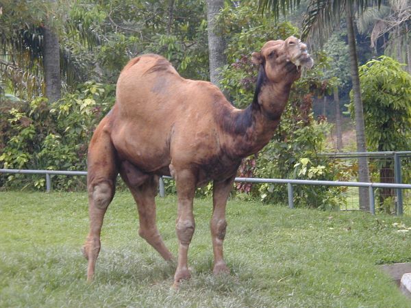 kl_zoo2030.jpg<BR>