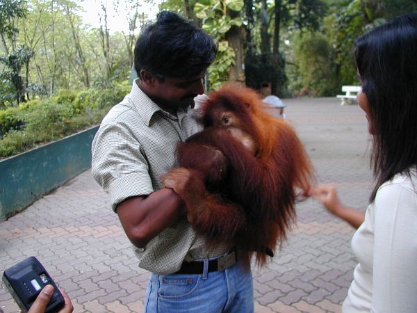 kl_zoo2039.jpg<BR>