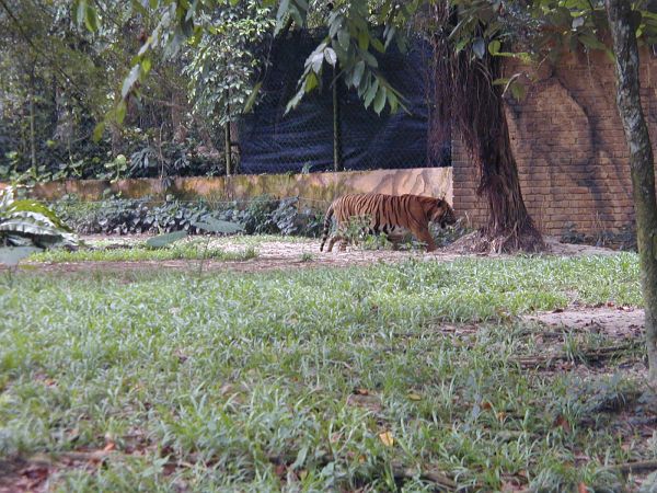 kl_zoo2044.jpg<BR>