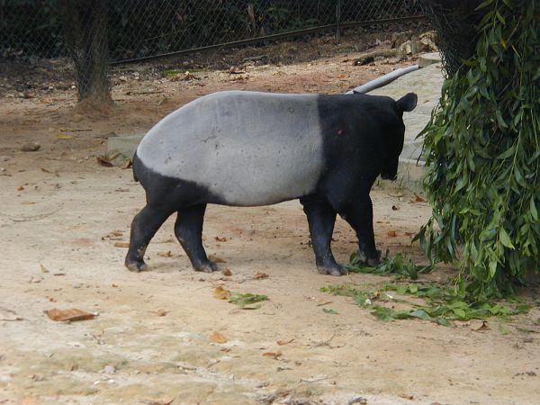 kl_zoo2048.jpg<BR>