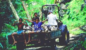 children on back of tractor with coconuts