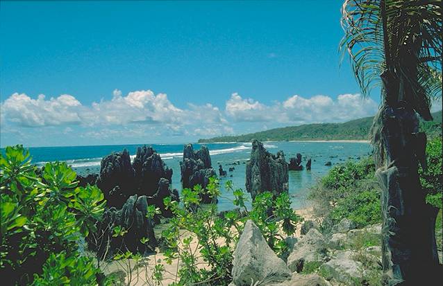 Beach at Nauru with coral pillars