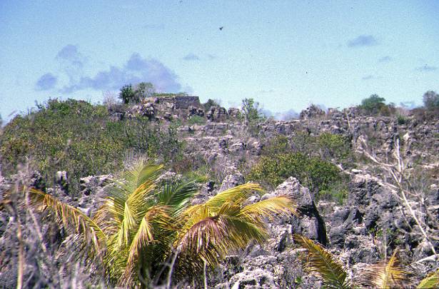Nauru Landscape after phosphate mining