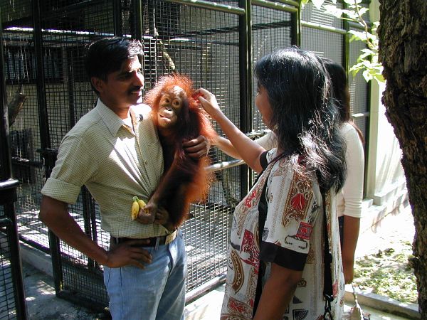kl_zoo1983.jpg<BR>