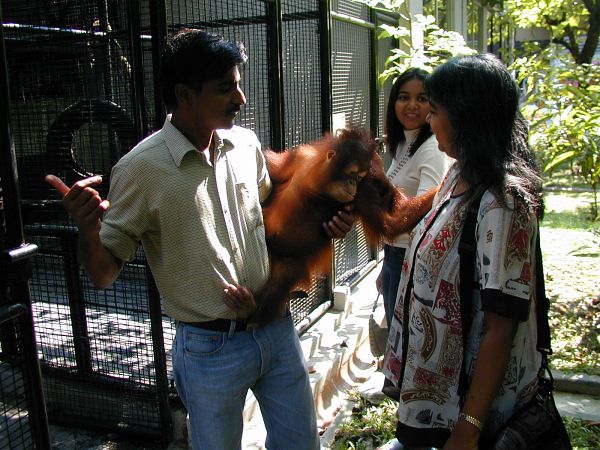 kl_zoo1984.jpg<BR>