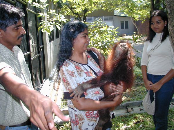 kl_zoo1985.jpg<BR>