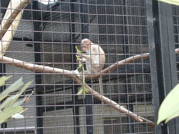 kl_zoo1996.jpg<BR>