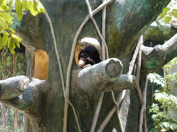 kl_zoo2004.jpg<BR>