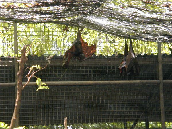 kl_zoo2006.jpg<BR>
