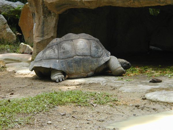 kl_zoo2007.jpg<BR>