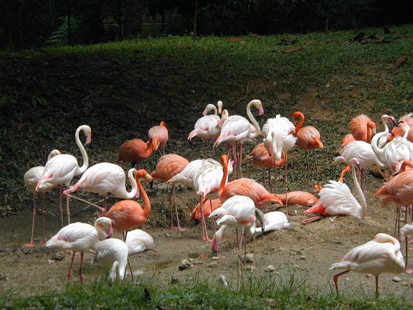 kl_zoo2014.jpg<BR>