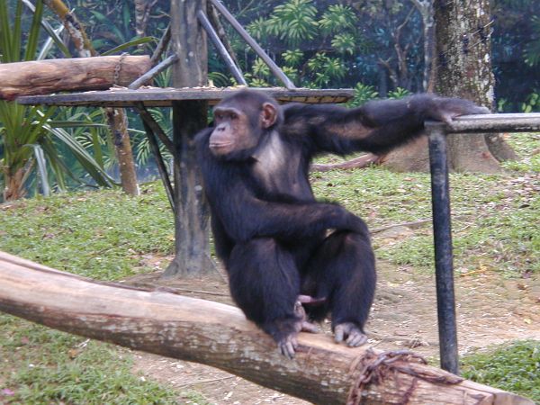 kl_zoo2035.jpg<BR>