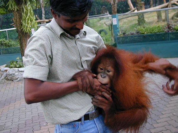 kl_zoo2036.jpg<BR>
