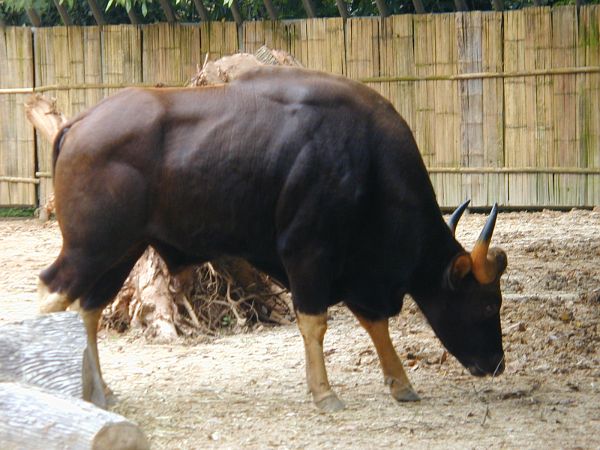 kl_zoo2040.jpg<BR>