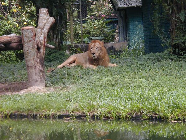 kl_zoo2045.jpg<BR>