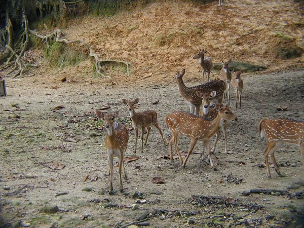 kl_zoo2046.jpg<BR>