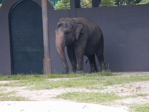 kl_zoo2057.jpg<BR>