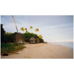 savaii02.jpg