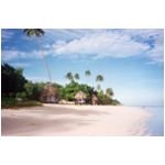 savaii04.jpg