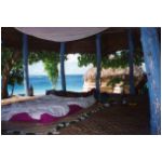 savaii05.jpg